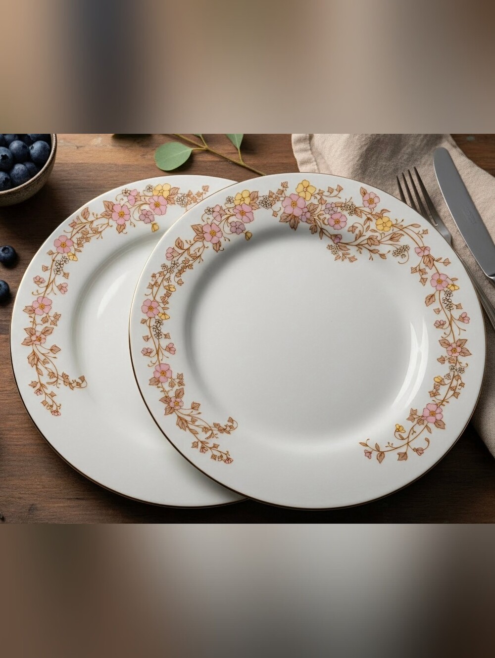 2 Elegant Fine China Garden Floral / Golden Rim Plates VINTAGE